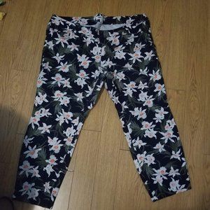 Plus size 24 Capris - 95%Cotton/5%Lycra